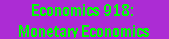  [Economics 918] 